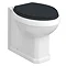 Chatsworth Traditional Graphite Back To Wall Pan + Soft Close Seat Large Image