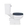 Chatsworth Traditional Blue Cloakroom Suite (Vanity Unit + Close Coupled Toilet)  Newest Large Image