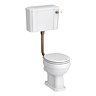 Trafalgar Traditional Low Level Toilet - Excludes Seat - Antique Brass