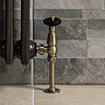 Chatsworth Traditional Thermostatic Angled Radiator Valve and Pipe Set Antique Brass & Black