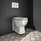 Chatsworth Traditional Wall Hung Pan + Soft Close Seat