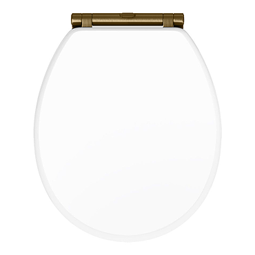 Chatsworth White Soft Close Toilet Seat with Antique Brass Hinge Set