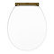 Chatsworth White Soft Close Toilet Seat with Antique Brass Hinge Set