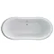 Clearwater - Boat 1650 x 705 Traditional Freestanding Bath - T5C Profile Large Image