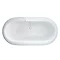 Clearwater - Mystique 1690 x 850 Modern Freestanding Bath - M12 Profile Large Image