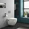 Compact Concealed WC Cistern with Wall Hung Frame & Modern Round Wall Hung Toilet Large Image