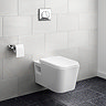 Concealed WC Cistern with Wall Hung Frame - EX2339G  Feature Large Image