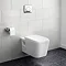 Concealed WC Cistern with Wall Hung Frame - EX2339G  Feature Large Image