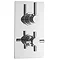 Hudson Reed Tec Pura Twin Concealed Thermostatic Shower Valve - A3003V Large Image