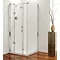 Coram - Frameless Premier Hinged Shower Door - Left Hand Open - 4 Size Options Profile Large Image