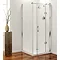 Coram - Frameless Premier Hinged Shower Door - Right Hand Open - 4 Size Options Profile Large Image
