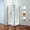 Coram - Premier Pivot Shower Door - Various Size Options Profile Large Image