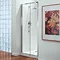 Coram - Premier Pivot Shower Door - Various Size Options Large Image