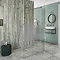 Coram Stylus Wetroom Screen with Modesty Panel Large Image