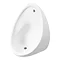 Cove 400mm Urinal Bowl Large Image