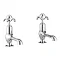 Crosswater - Belgravia Fleur-De-Lis Long Nose Basin Taps - BL140DNC_FL Large Image