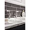 Crosswater - Belgravia Lever Long Nose Basin Taps - Nickel - HG140DNN_LV Profile Large Image