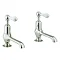 Crosswater - Belgravia Lever Long Nose Basin Taps - Nickel - HG140DNN_LV Large Image