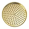 Crosswater Belgravia Unlacquered Brass 200mm Round Fixed Showerhead - FH08Q  Profile Large Image