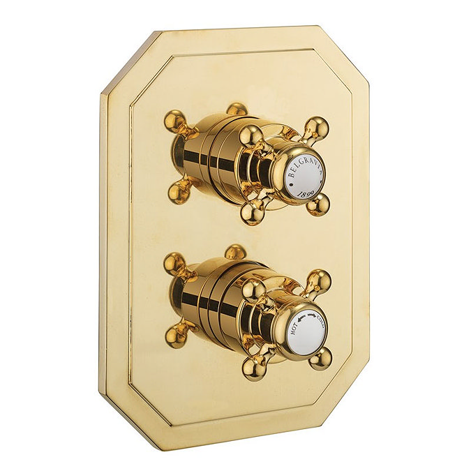 Crosswater Belgravia Unlacquered Brass Crossbox 1 Outlet Trim Set Large Image