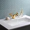 Crosswater Belgravia Unlacquered Brass Crosshead Basin Monobloc Tap with Pop-up Waste - BL110DPQ Pr