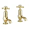 Crosswater Belgravia Unlacquered Brass Crosshead Cloakroom Basin Taps - BL150DNQ Large Image