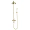 Crosswater Belgravia Unlacquered Brass Thermostatic Shower Valve with 8" Fixed Head & Handset Large 