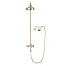 Crosswater Belgravia Unlacquered Brass Thermostatic Shower Valve with 8" Fixed Head, Handset & Wall 