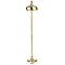 Crosswater Belgravia Unlacquered Brass Thermostatic Shower Valve with 8" Fixed Head  Profile Large I