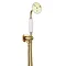 Crosswater Belgravia Unlacquered Brass Wall Mounted Shower Kit - BL964Q Large Image