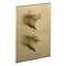 Crosswater - Brushed Brass MPRO Crossbox 3 Outlet Trim & Levers Finishing Kit Large Image