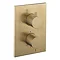Crosswater - Brushed Brass MPRO Crossbox 2 Outlet (Bath/Shower Icons) Trim & Levers Finishing Kit