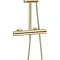 Crosswater Central Brushed Brass Height Adjustable Thermostatic Shower  Feature Large Image