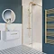Crosswater Central Brushed Brass Height Adjustable Thermostatic Shower  Standard Large Image