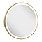 IF_MIRROR50F