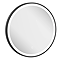 IF_MIRROR50MB