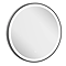 IF_MIRROR50T
