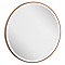 IF_MIRROR70BZ
