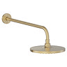 Crosswater Malu Round Rainfall Shower Head & Wall Mounted Arm - Brushed Brass