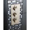 Crosswater - Mike Pro Thermostatic Shower Valve with 3 Way Diverter - Brushed Stainless Steel - PRO2
