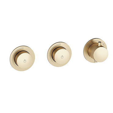 Crosswater Module MPRO Push 2 Outlet Concealed Shower Valve - Brushed Brass