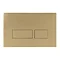 Crosswater MPRO Brushed Brass Dual Flush Plate - PROFLUSHF Large Image