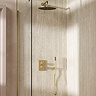 Crosswater MPRO Crossbox Shower Pack with 300mm Head + Fixed Handset - Brushed Brass