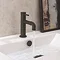 Crosswater MPRO Industrial Monobloc Basin Mixer - Carbon Black - PRI110DNM  Profile Large Image