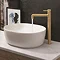 Crosswater MPRO Industrial Tall Monobloc Basin Mixer - Unlacquered Brushed Brass - PRI112DNUB  Profile Large Image