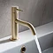 Crosswater MPRO Monobloc Basin Mixer - Brushed Brass - PRO110DNF  Profile Large Image