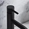 Crosswater MPRO Monobloc Basin Mixer - Matt Black - PRO110DNM  Feature Large Image