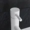 Crosswater MPRO Monobloc Basin Mixer - Matt White - PRO110DNW+  Feature Large Image