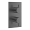 Crosswater MPRO Slate 2 Outlet Concealed Thermostatic Bath Shower Valve