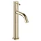 Crosswater MPRO Tall Monobloc Basin Mixer - Brushed Brass - PRO112DNF Large Image